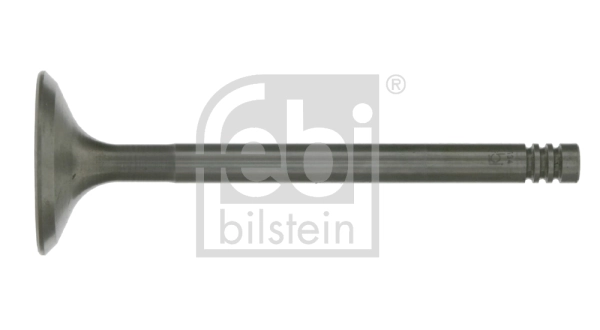 Intake Valve